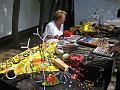 hoffest2009-10