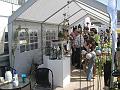 hoffest2009-22