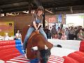 hoffest2009-56