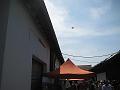 hoffest2009-73