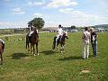 reiten2009-03