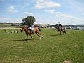 reiten2009-04