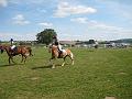 reiten2009-05
