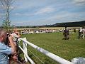 reiten2009-32